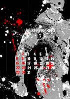 img/user_q8/225374951.jpg